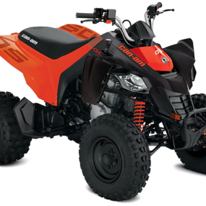Can-Am 2025: Ds 250