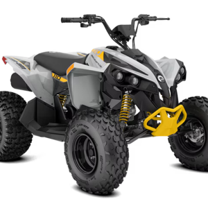 Can-Am 2025: Renegade efi