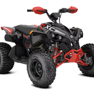 Can-Am 2025: Renegade efi
