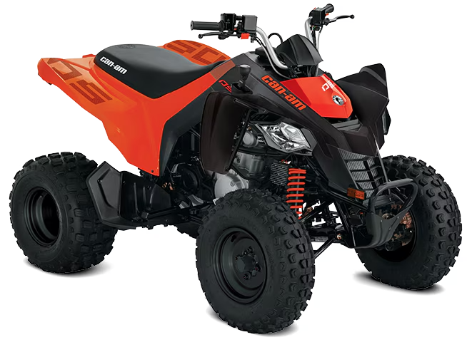 Can-Am 2026: DS 250