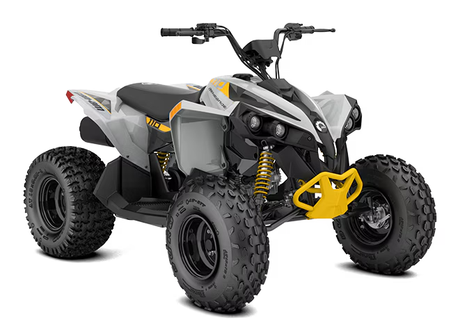 Can-Am 2026: Renegade 110EFI